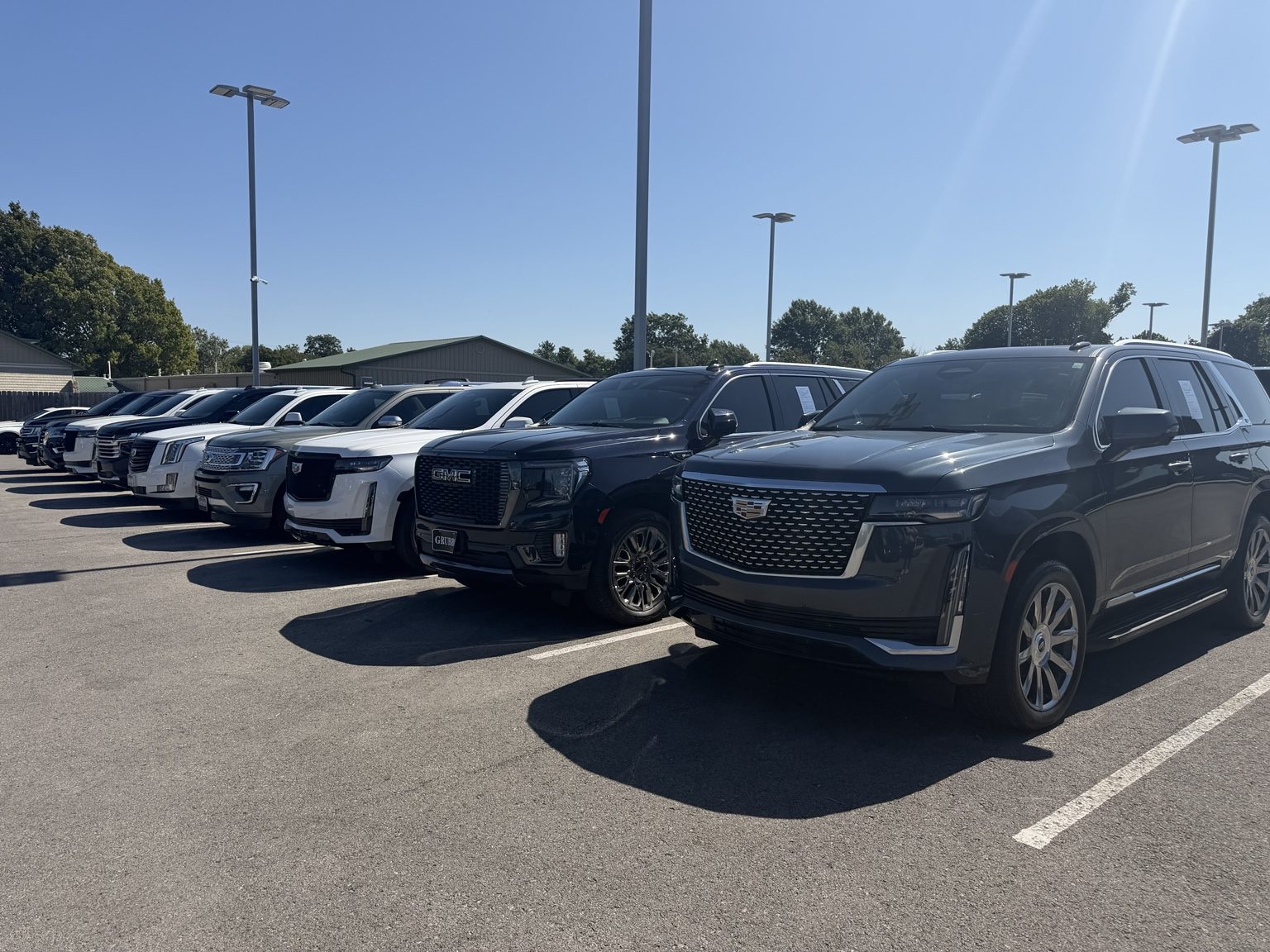 SUVs lined up on the dealership lot